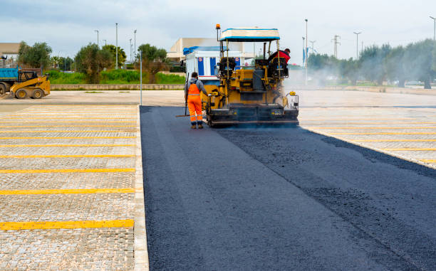 Best Professional Driveway Pavers  in Terrell Hills, TX