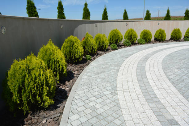 Best Commercial Driveway Pavers  in Terrell Hills, TX