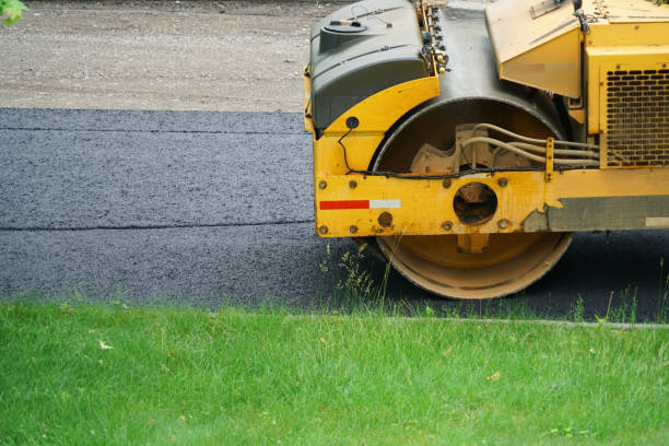Best Decorative Driveway Pavers  in Terrell Hills, TX