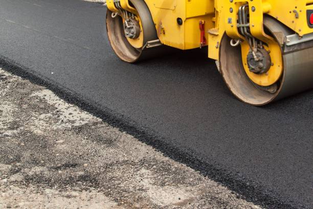 Best Custom Driveway Pavers  in Terrell Hills, TX